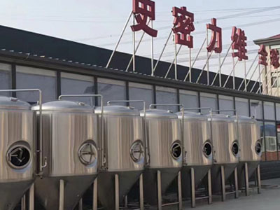 阳城精酿啤酒设备厂—如何判断精酿啤酒设备的密封件需要更换？